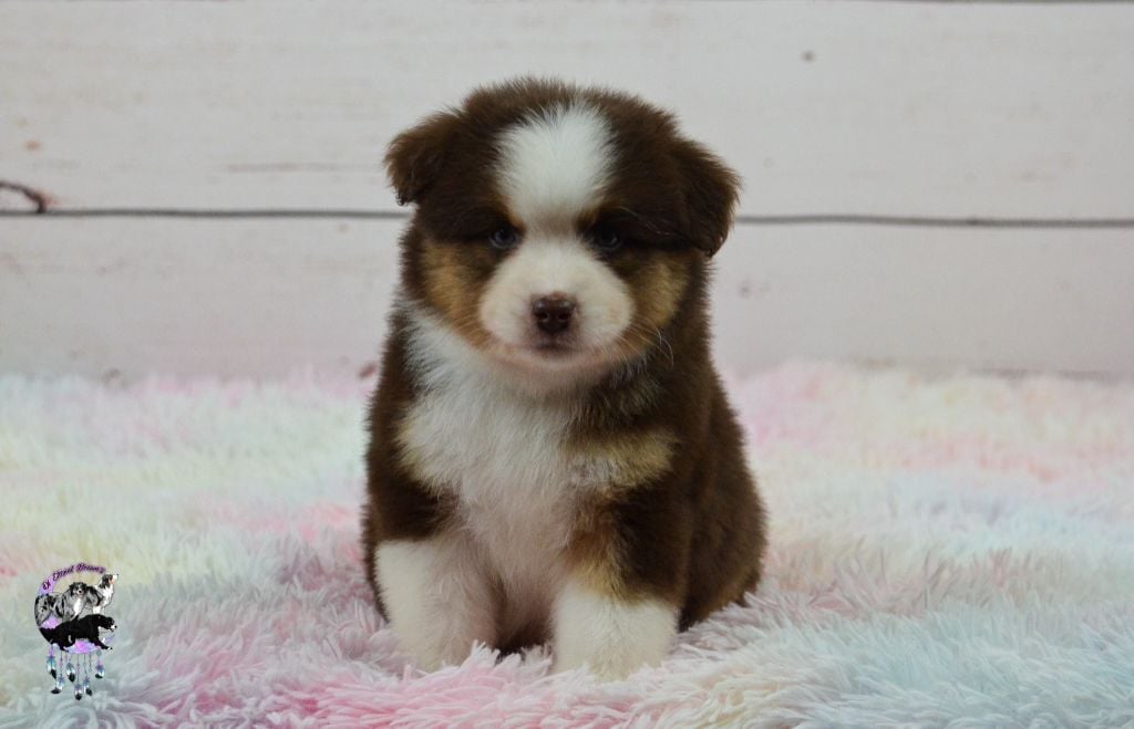 CH. The future is coming Of Eternal Dreams