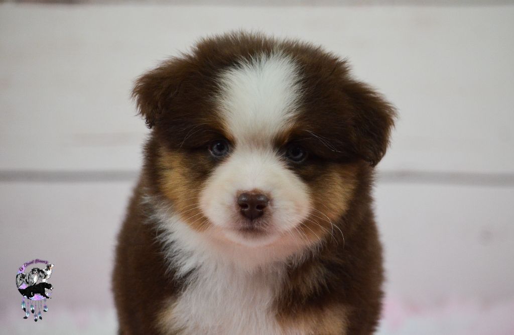 CH. The future is coming Of Eternal Dreams