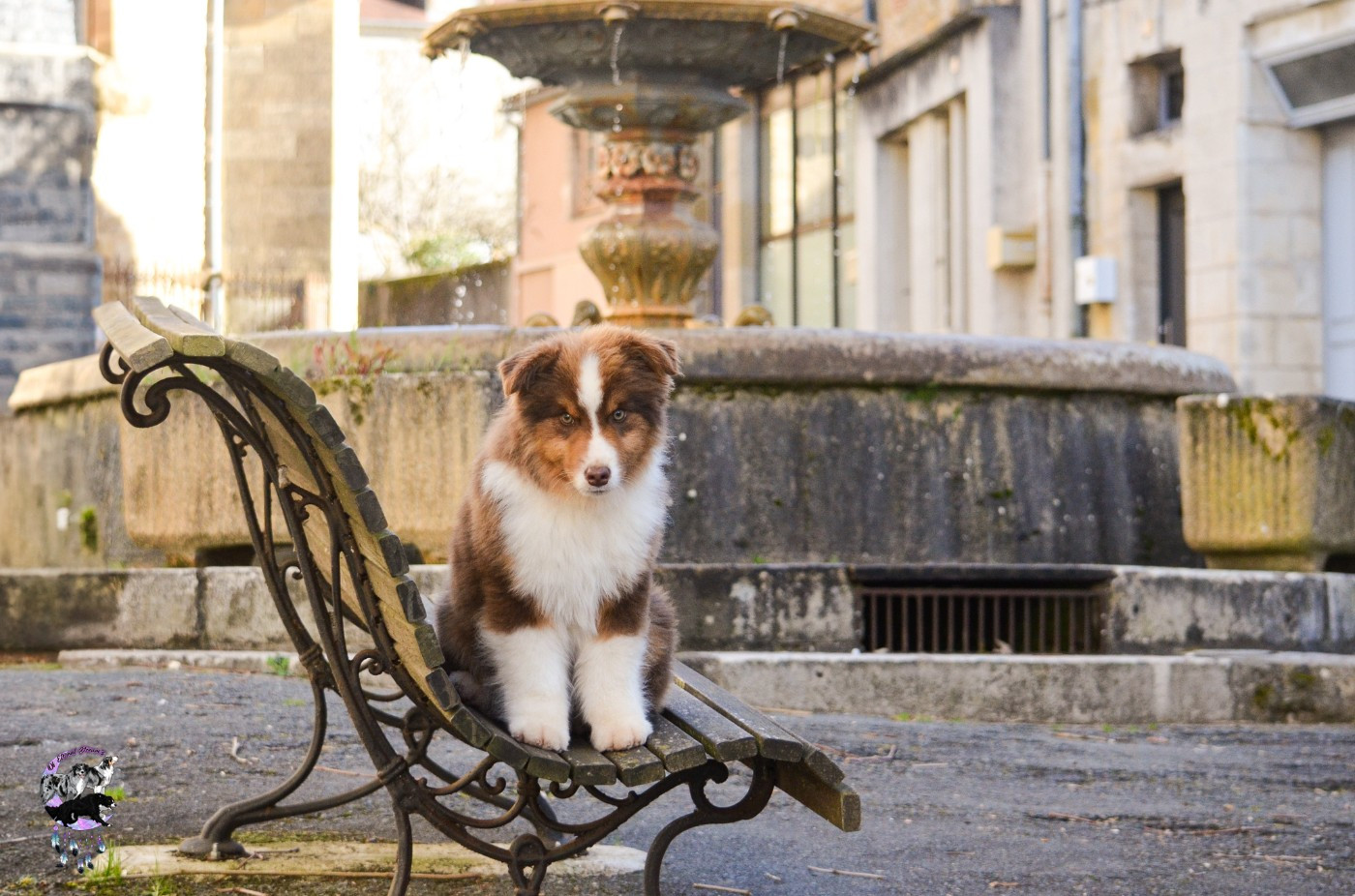 CHIOT
