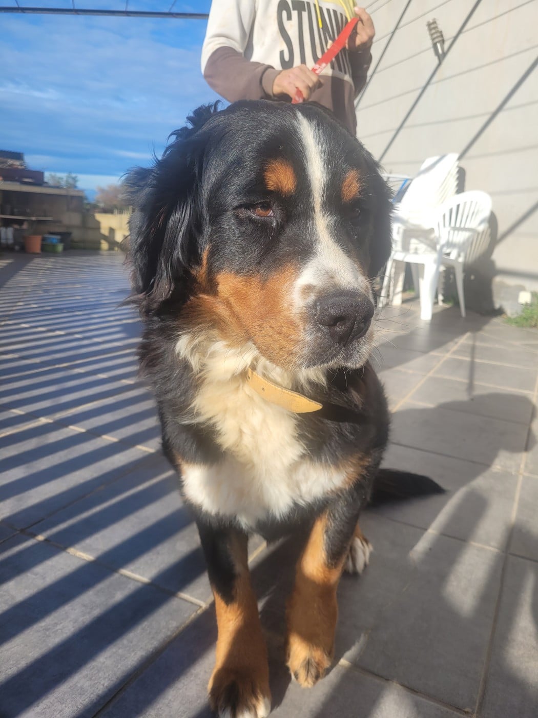 Prada du mas de la fermine