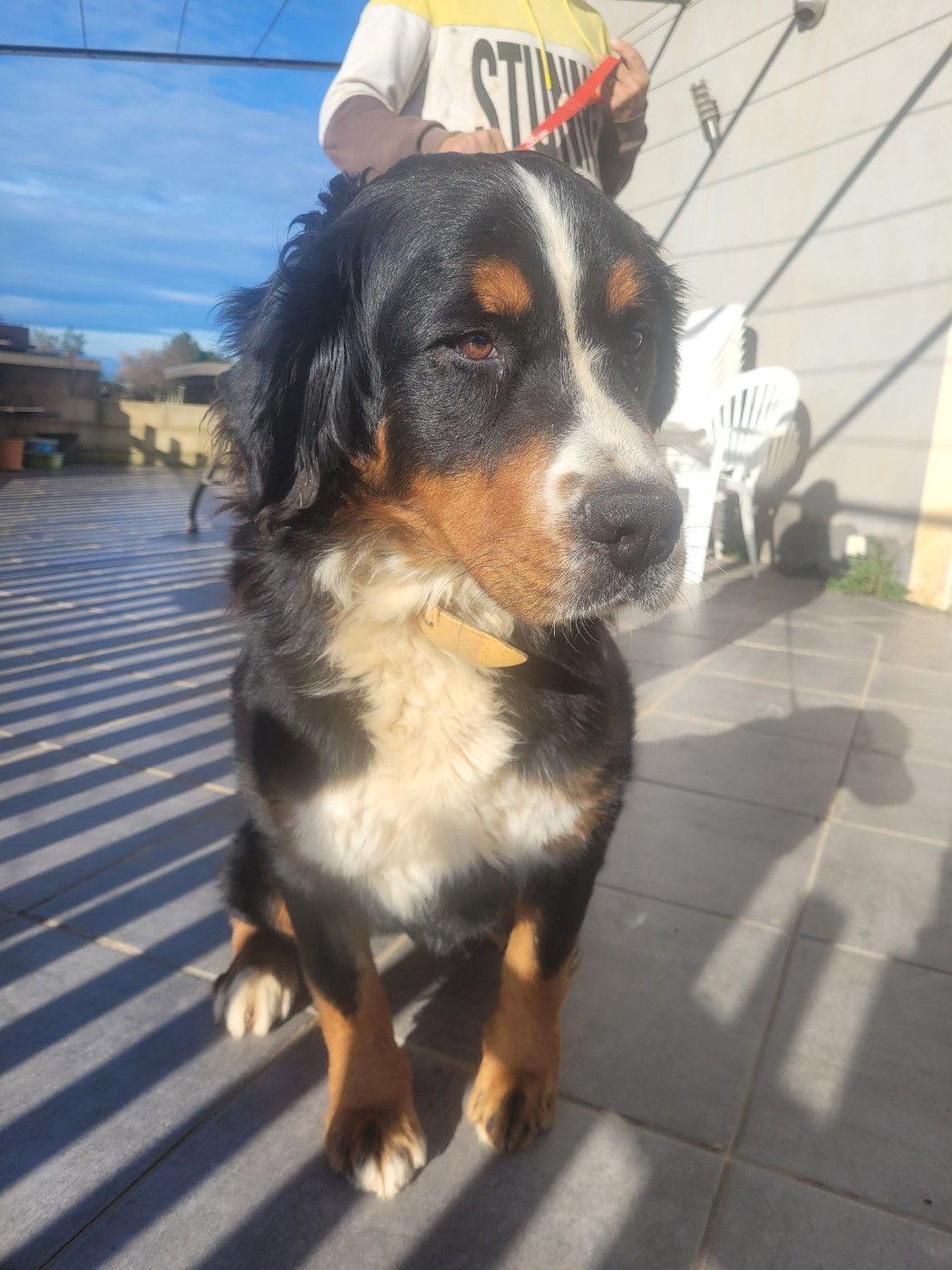 Prada du mas de la fermine