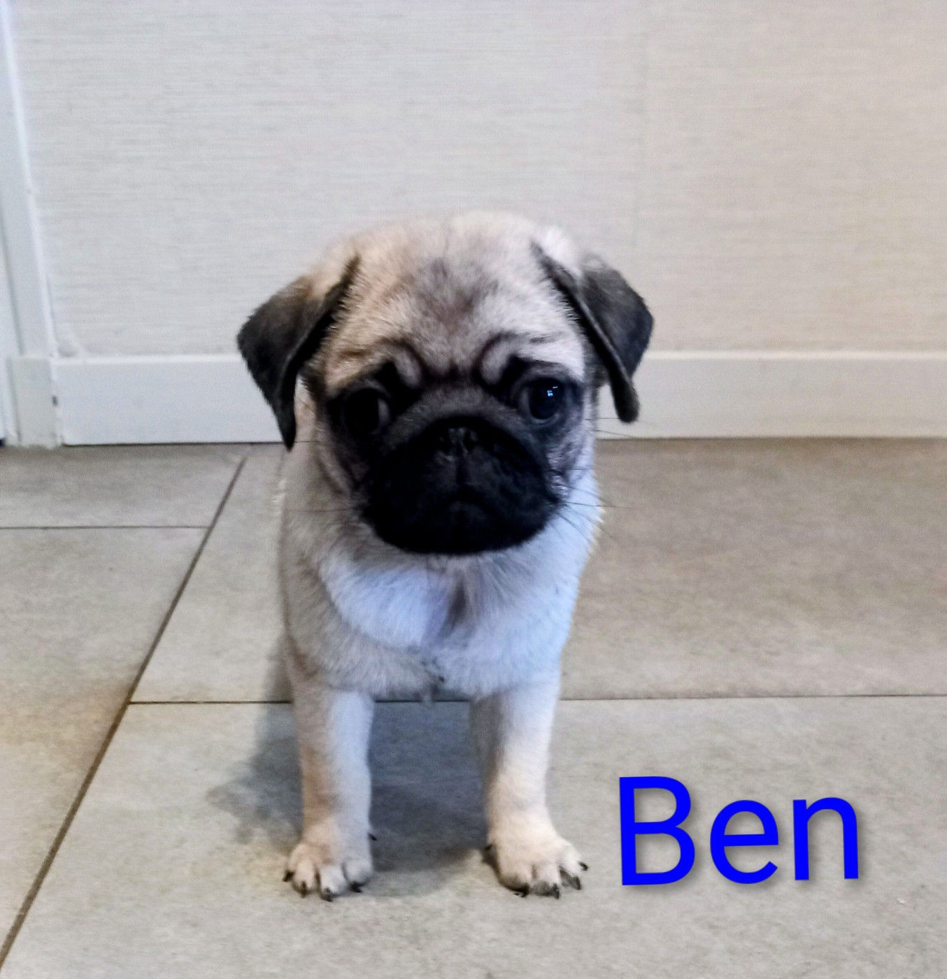 BEN