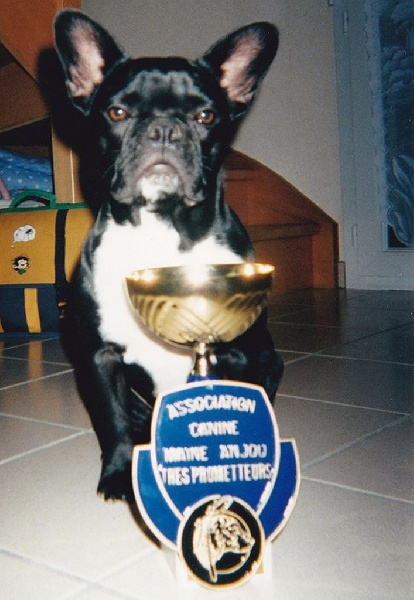 Romy de la mare guesclin - TRÈS PROMETTEUR CLASSE PYPPY