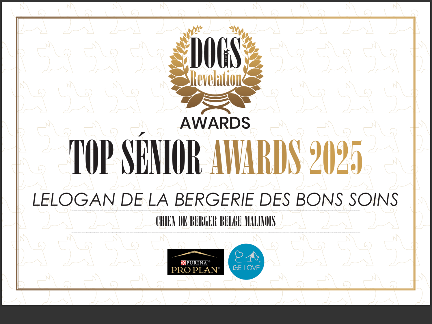 CH. Sr lélogan De La Bergerie Des Bons Soins - 1re au classement Senior du challenge Dog Revelation BB Malinois