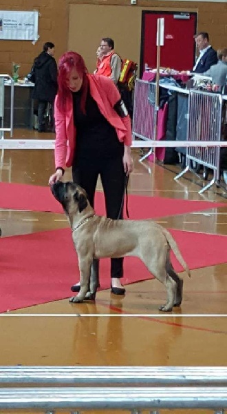 Publication : Des Sentinelles Des Essarts Auteur : aurelie boclet