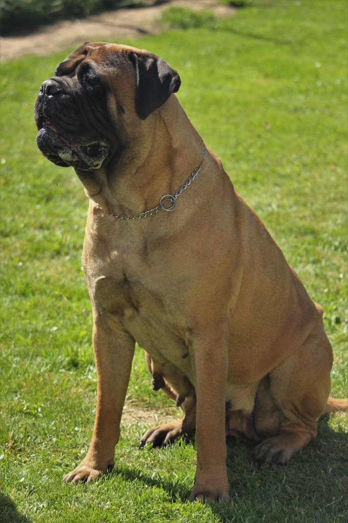 Publication : Des Sentinelles Des Essarts Auteur : lefranc isalyne