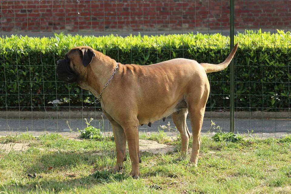 Publication : Des Sentinelles Des Essarts Auteur : lefranc isalyne