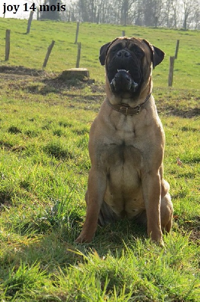 Publication : Des Sentinelles Des Essarts Auteur : lefranc isalyne