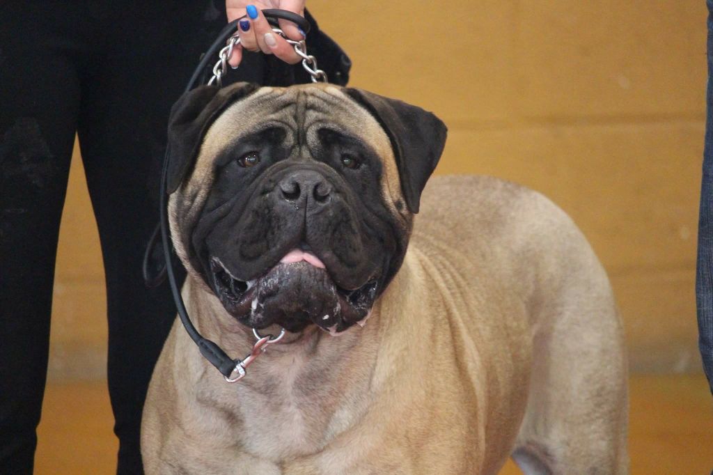 Publication : Des Sentinelles Des Essarts Auteur : aurelie boclet