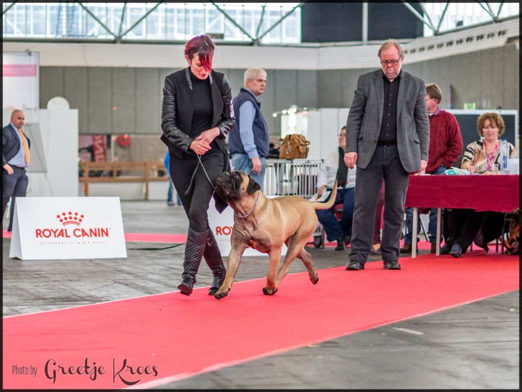 Publication : Des Sentinelles Des Essarts Auteur : aurelie boclet