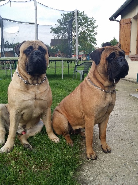 Publication : Des Sentinelles Des Essarts Auteur : lefranc isalyne