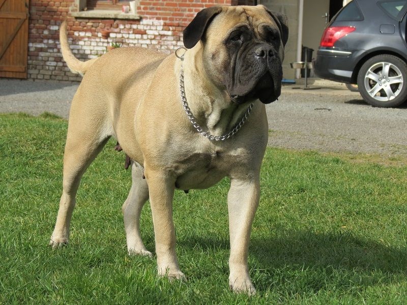 Publication : Des Sentinelles Des Essarts Auteur : lefranc