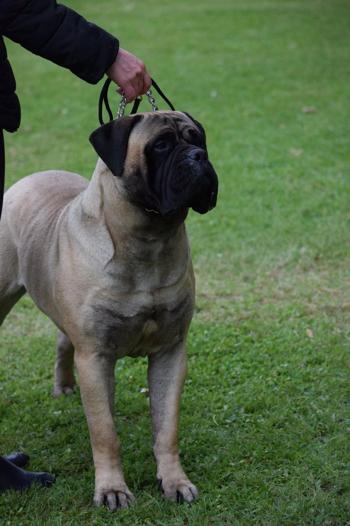 Publication : Des Sentinelles Des Essarts Auteur : aurelie boclet