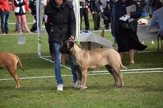 Publication : Des Sentinelles Des Essarts Auteur : aurelie boclet