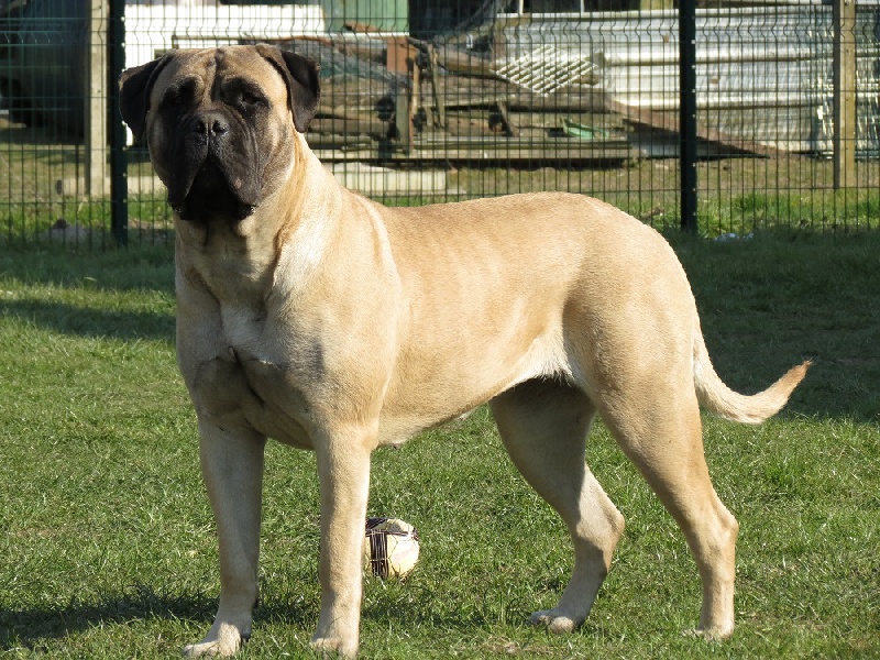 Publication : Des Sentinelles Des Essarts Auteur : lefranc