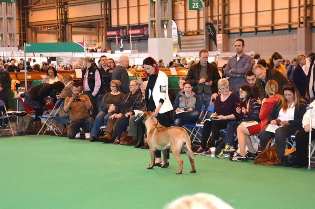Publication : Des Sentinelles Des Essarts Auteur : aurelie boclet