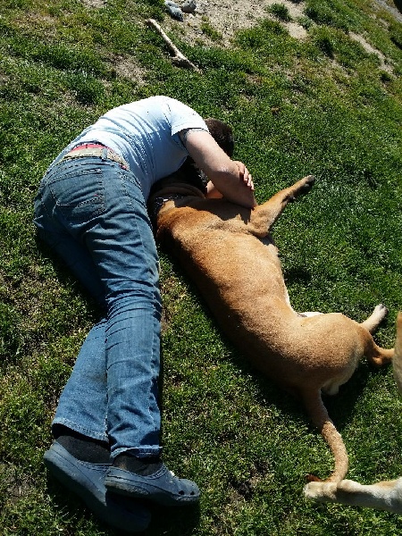 Publication : Des Sentinelles Des Essarts Auteur : lefranc isalyne