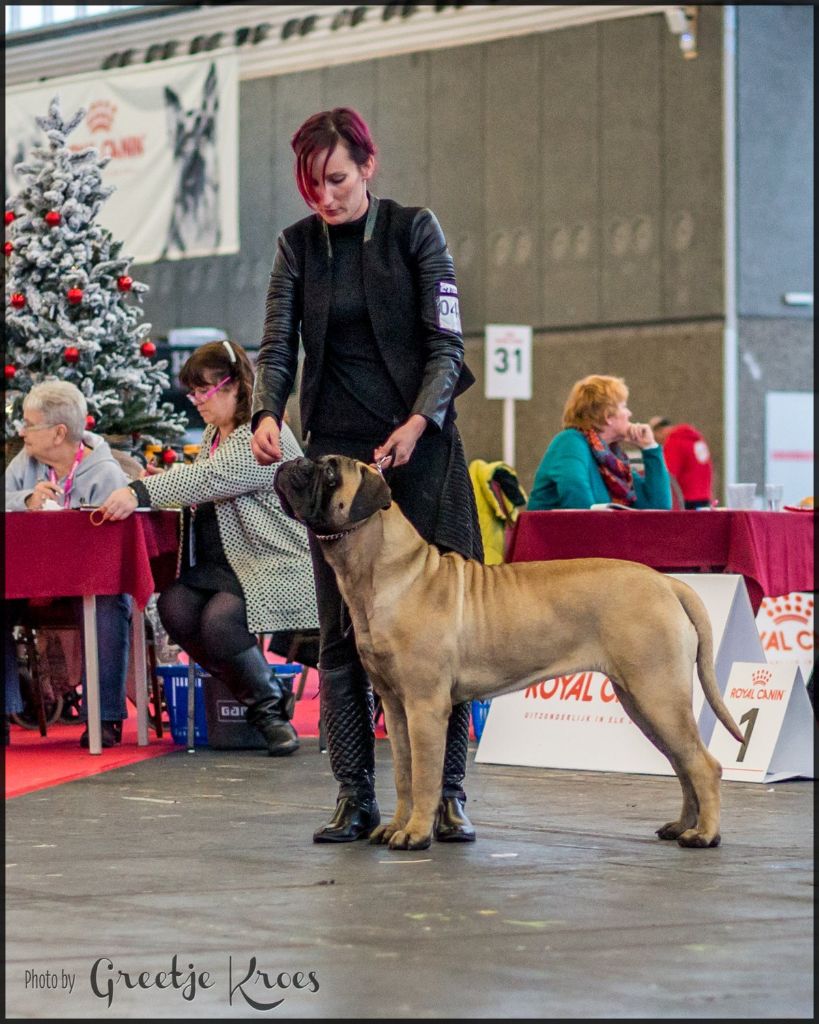 Publication : Des Sentinelles Des Essarts Auteur : aurelie boclet