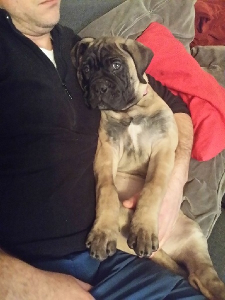 Publication : Des Sentinelles Des Essarts Auteur : aurelie boclet