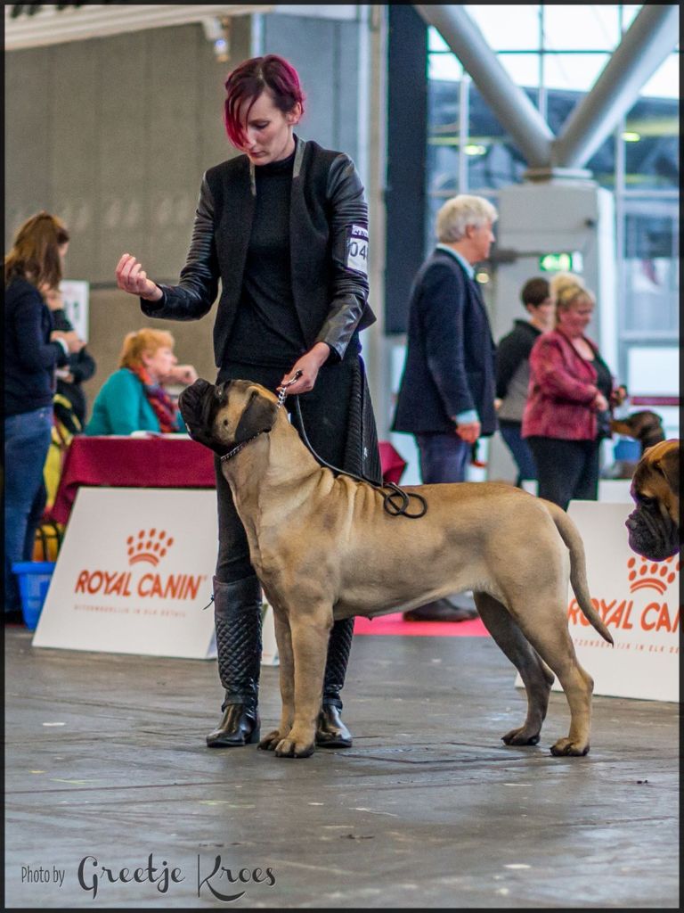 Publication : Des Sentinelles Des Essarts Auteur : aurelie boclet