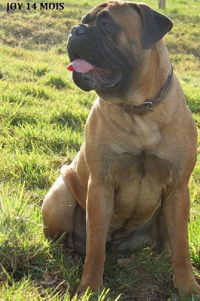 Publication : Des Sentinelles Des Essarts Auteur : lefranc isalyne