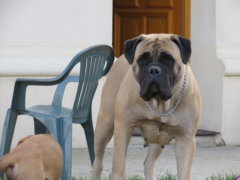 Publication : Des Sentinelles Des Essarts Auteur : lefranc