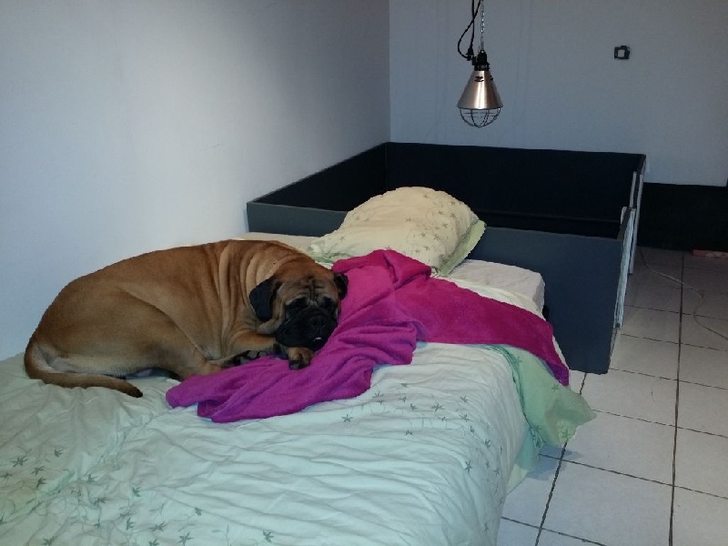 Publication : Des Sentinelles Des Essarts Auteur : lefranc isalyne