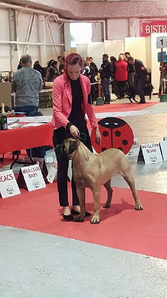 Publication : Des Sentinelles Des Essarts Auteur : aurelie boclet