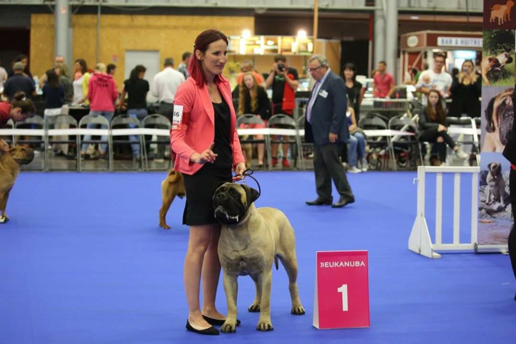 Publication : Des Sentinelles Des Essarts Auteur : aurelie boclet