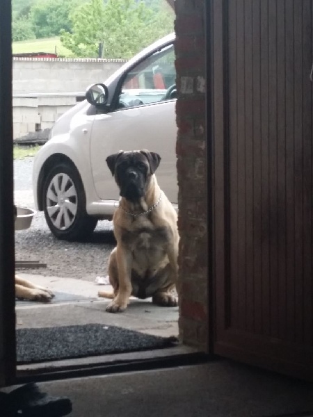 Publication : Des Sentinelles Des Essarts Auteur : aurelie boclet