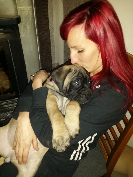 Publication : Des Sentinelles Des Essarts Auteur : aurelie boclet