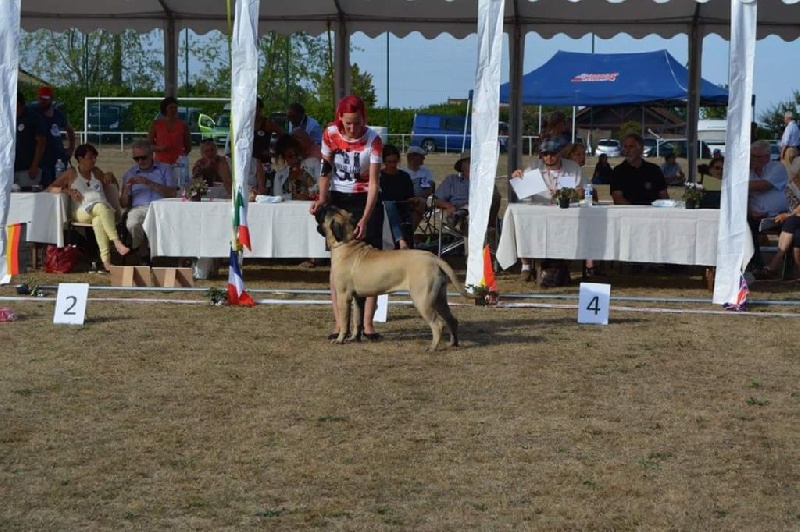 Publication : Des Sentinelles Des Essarts Auteur : aurelie boclet