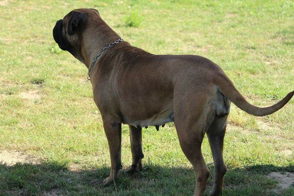 Publication : Des Sentinelles Des Essarts Auteur : lefranc isalyne