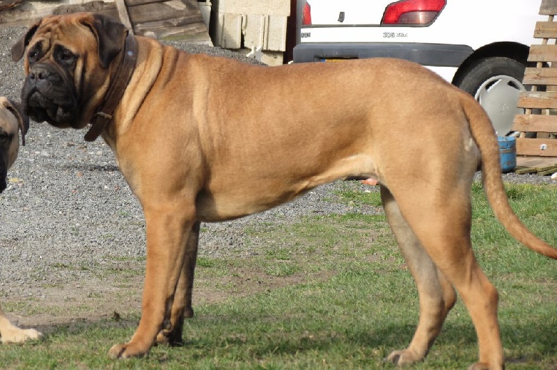 Publication : Des Sentinelles Des Essarts Auteur : lefranc isalyne