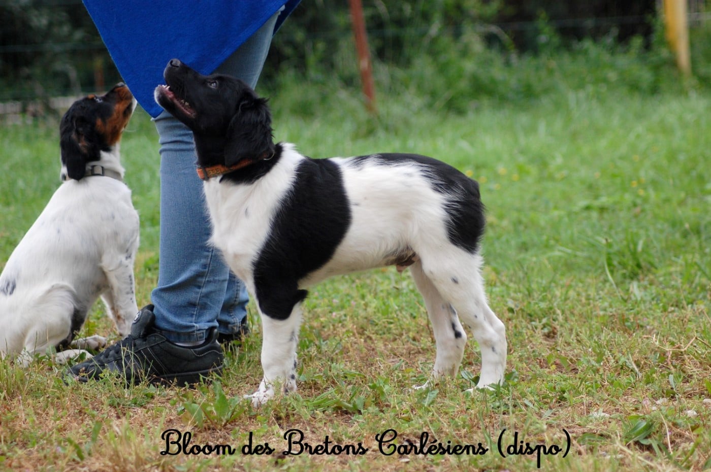 Bloom 6