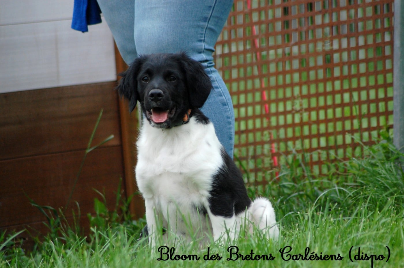 Bloom 6