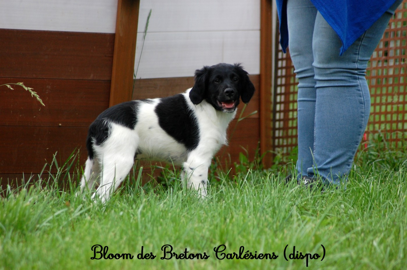 Bloom 6