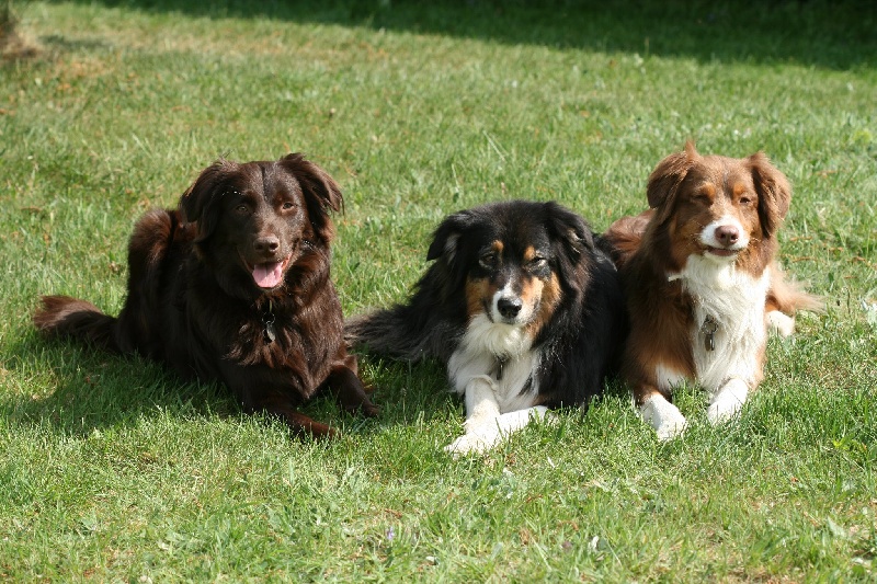 Publication : Origine Deux Auteur : Juliette Bercovici