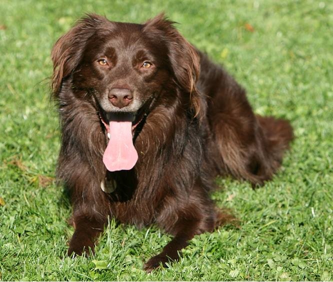 Publication : Origine Deux Auteur : Juliette Bercovici