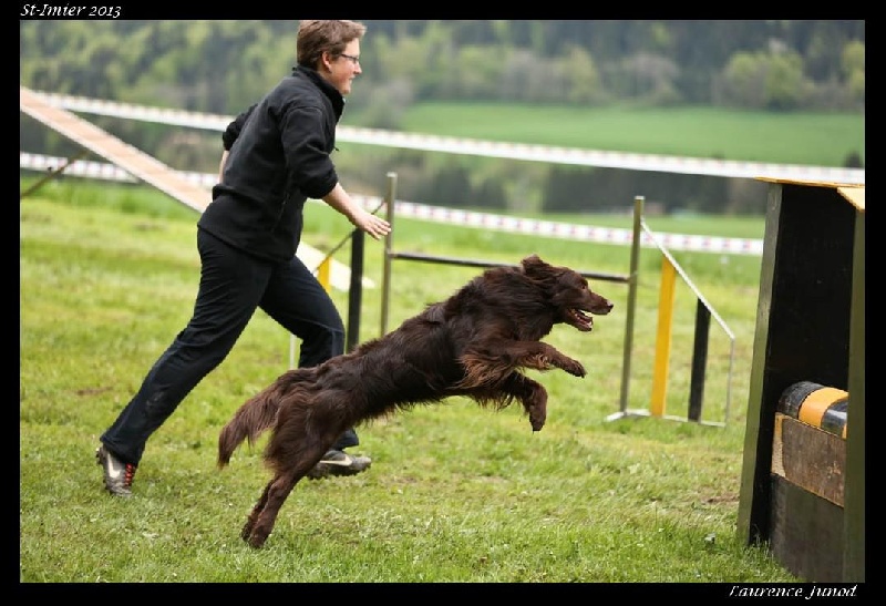 Publication : Origine Deux Auteur : Juliette Bercovici