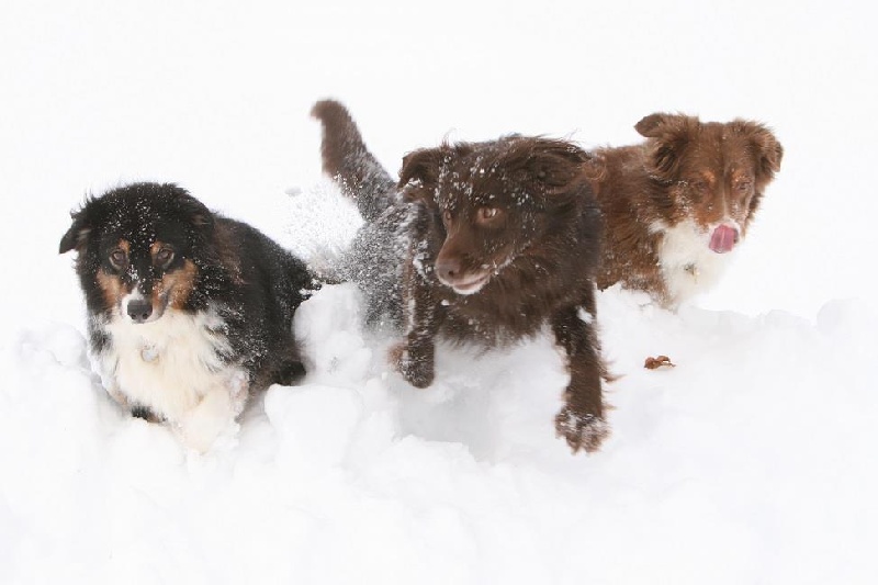 Publication : Origine Deux Auteur : Juliette Bercovici