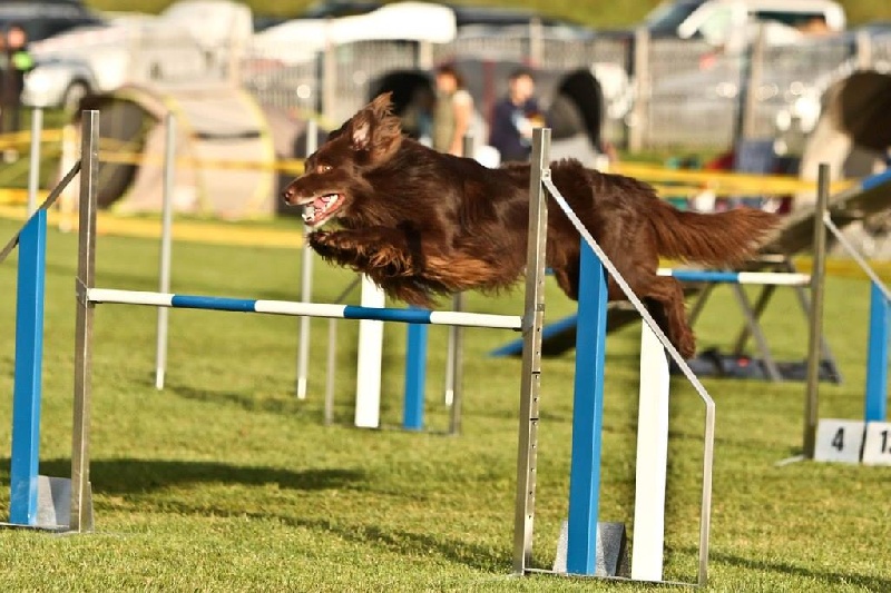 Publication : Origine Deux Auteur : Juliette Bercovici