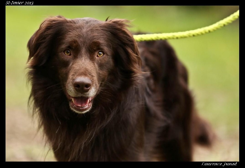 Publication : Origine Deux Auteur : Juliette Bercovici