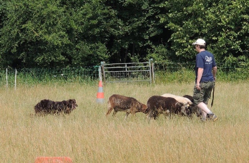 Publication : Origine Deux Auteur : Juliette Bercovici