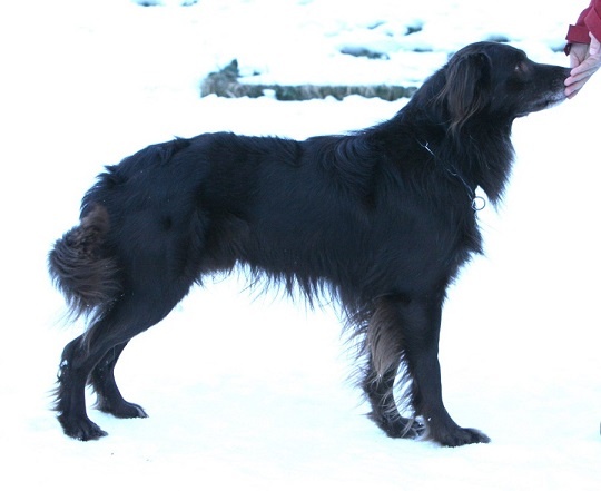 Publication : Origine Deux Auteur : Juliette Bercovici