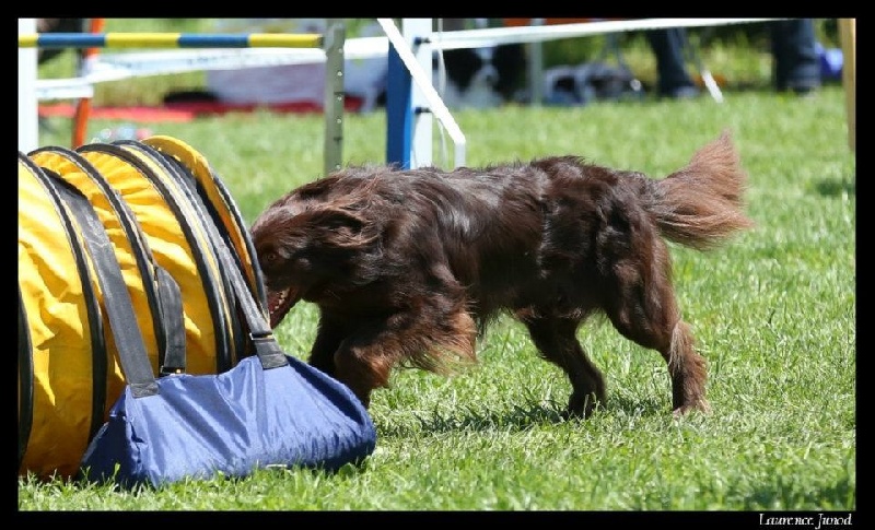 Publication : Origine Deux Auteur : Juliette Bercovici