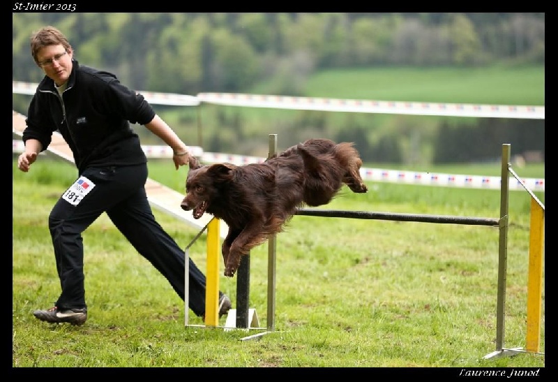 Publication : Origine Deux Auteur : Juliette Bercovici