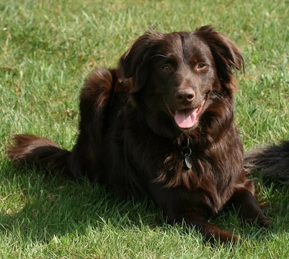 Publication : Origine Deux Auteur : Juliette Bercovici