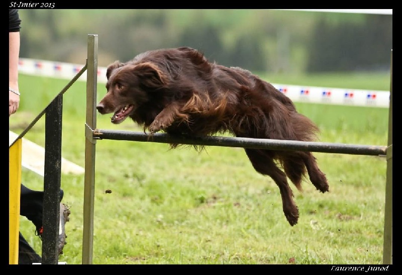 Publication : Origine Deux Auteur : Juliette Bercovici