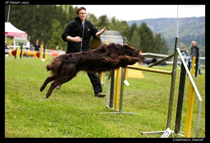 Publication : Origine Deux Auteur : Juliette Bercovici